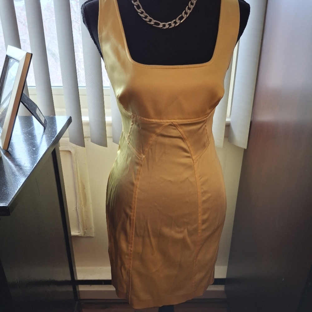 Elegant Gold Sleeveless Dress